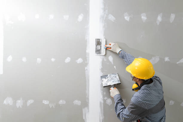 Best Drywall Texturing  in Osage City, KS